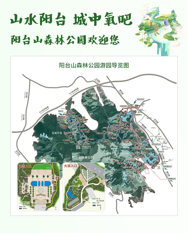 圖片8